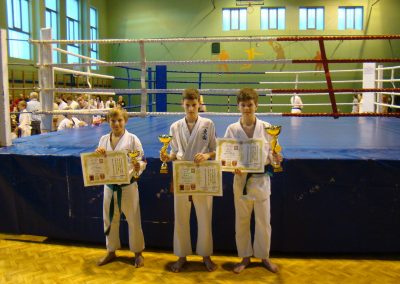p_polski_2012_0449